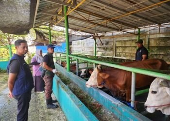 Pemkot Tangsel Perketat Pengawasan Hewan Kurban, Ribuan Ekor Dipastikan Sehat Jelang Iduladha