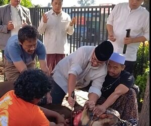 Enam Tahun Menyembelih Kurban Sendiri, Pilar Saga Ichsan: Ada Doa yang Ingin Saya Sampaikan Langsung