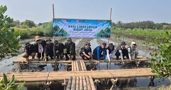 Peringati Hari Lingkungan Hidup 2026, IKPP Tangerang Tanam 10.000 Mangrove Langka di Mauk