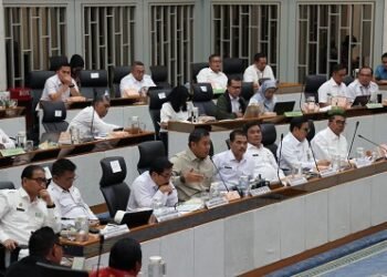 Wamentan Sudaryono Pastikan Tindak Tegas Pelaku yang Rugikan Peternak Ayam dan Telur