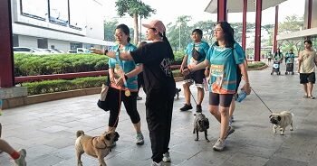 PET KINGDOM Gelar PAWJOG 9 di QBIG BSD, Ajak 800 Pawrents dan Anabul Pererat Momen Kebersamaan